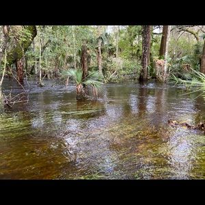 Meet your Posher, Bill